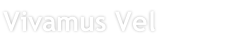 Vivamus Vel 
